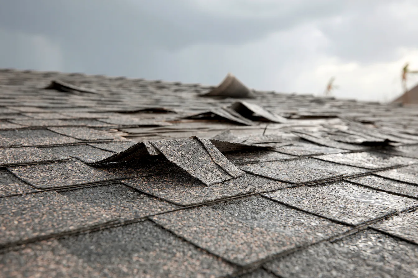 Wind-lifted shingle tabs showing crease lines across a roof